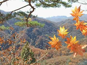 开云权威入口-切尔西客场逆袭晋级下一轮比赛，切尔西最新比赛